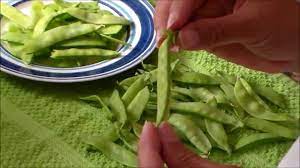 Sugar snap peas can also be frozen for later use. How To Freeze Peas Snow Or Snap Peas Youtube