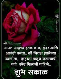 Pin By Namrata Borkar On Marathi Gm Flowers Plants Rose