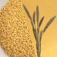 Foxtail Millet Calories 473cal 130g And Nutrition Facts