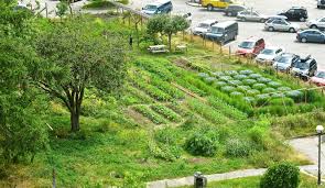 Tree density, row length, planting designs, loading areas, pollinizer placement, and orchard floor management. Andrew De Niese S Fundraiser Enables Local Hospital To Open Orchard Garden In Germany Pressrelease Com