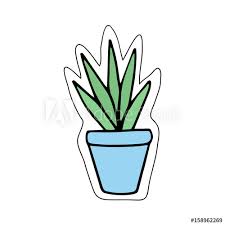 Cactus in an adorable pot! Cute Little Cacti In Blue Plant Pot Vector Illustration Doodle Cartoon Drawing Isolated Sticker Icon Stock Vector Adobe Stock
