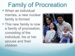 The Family Ppt Video Online Download
