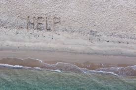 Find a source of food. What Would You Want On A Deserted Island Wonderopolis
