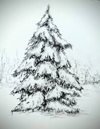 Vanessa Dippel Eine Tanne Im Schnee Zeichnen