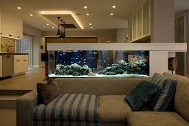 Pin By Tina On House Design Amazing Aquariums Custom Aquarium Aquarium