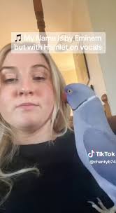 My quaker parrot and I are huge Hamlet fans! Thank you @Bridget Chant ...