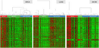 Researchers from msn money took the 2015 forbes rich list (identifying the top 100 wealthiest people in the world) and determined the. Inherited Defects In Natural Killer Cells Shape Tumor Immune Microenvironment Clinical Outcome And Immunotherapy Response Biorxiv