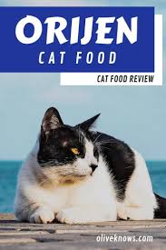 Orijen Cat Food Review Is This One Of The Best Brands On The Market Today Oliveknows Cat Food Reviews Cat Food Cat Food Brands