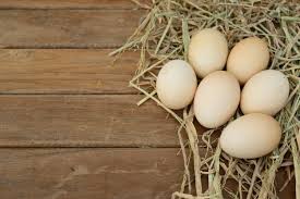 We did not find results for: Bagaimana Membedakan Telur Ayam Kualitas Buruk Dengan Telur Ayam Palsu