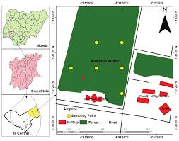 Image result for Sherbournia bignoniiflora