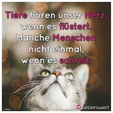 Spruche Fur Tierliebhaber Spruche Katzen Zitate Spruche Tiere
