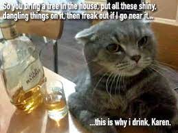 Jacki Long Day 3041 Strong Gentle Wise And Loyal In 2021 Funny Cat Pictures Cute Funny Animals Silly Cats