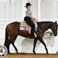 OzQHA October Show event image