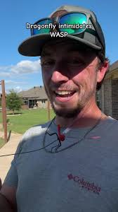 Dragonflies: Nature's Insect Predators