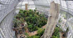 Das Ist Der Berliner Botanische Garten Botanischer Garten Botanischer Garten Berlin