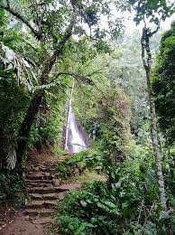 We did not find results for: Curug Tujuh Cibolang Ciamis 2021 All You Need To Know Before You Go With Photos Tripadvisor
