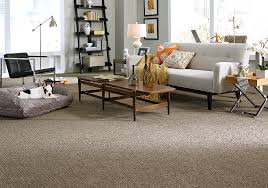 Are you looking for stainmaster carpet reviews? D2oesygb8qm4sm