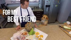 We did not find results for: Pancho S Kitchen Gourmet Dog Food Youtube