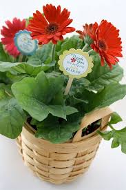 We did not find results for: Last Minute Teacher Appreciation Gift Teacher Appreciation Teacher Appreciation Printables Teacher Appreciation Gifts