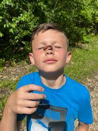 Mike Sereno's Instagram, Twitter & Facebook