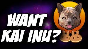 Kai Inu Token Everything You Need To Know How To Buy Kai Inu Crypto On Pancakeswap Youtube