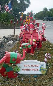 Pin By Cat Burns On Christmas Flamingo Christmas Florida Christmas Tropical Christmas