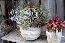 Check spelling or type a new query. The Most Practical Flowers Foliages Onlinepatlee