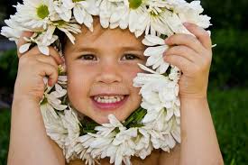 9,315 Daisy Face Flower Stock Photos