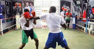 This is the one, loyal, consistent thing in their life, said ahmed, 45, who adopted a pit bull last year, and lets both dogs sleep in her bed. Gotv Boxing Night 16 Holds Today