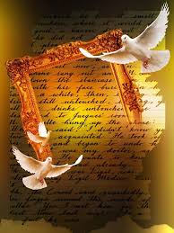 anderson pontes designe