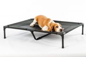Whether you need a crate bed, an orthopedic dog bed or just an indestructible chewproof bed, we're here to help you find the perfect dog bed. Chew Proof Dog Bed Indestructible Crates Dogsrecommend