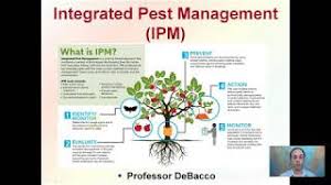 Biological control takes more intensive management and planning. Quick Answer What Is An Example Of Integrated Pest Management Business Finance