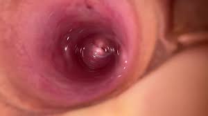 Internal camera in little tight vagina - XNXX.COM