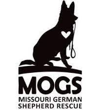From free yorkie puppies to free german shepherd puppies, you can find the perfect addition to your home here at k9stud. Missouri German Shepherd Rescue Home Facebook