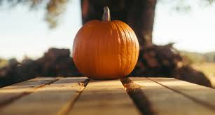 Combine the salt, paprika, cumin and cayenne; Skin To Seed How To Eat An Entire Pumpkin
