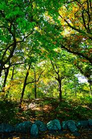 Franklin Park In Boston Has Something For Everyone Around The World L Franklin Park Franklin Park Boston In Boston