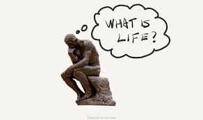 The Principles of Life That Everyone Knows, but Only a Few Follow | Observer