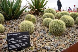 Unlock the amazing power of plants and fungi. Royal Botanical Gardens Melbourne The Learning Curve
