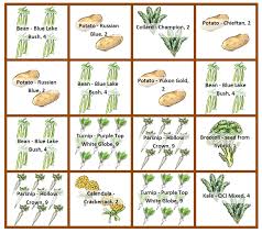 Square foot vegetable gardening gets its name from the number of seeds, transplants, or plants that grow in one square foot of garden space. Our Experiences With Square Foot Gardens Storytelling