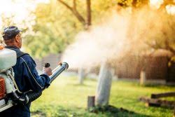 If you're getting eaten alive within minutes of being outside, sprays and. An Interview With Experts Are Backyard Mosquito Sprays Safe And Effective My Green Montgomery My Green Montgomery