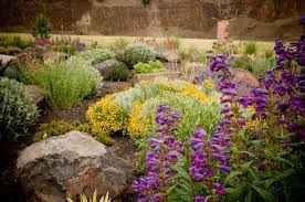 Queen Of Spades Gardens Queen Of Spades Plants Outdoor