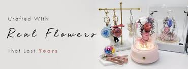 We did not find results for: Online Florist Offering Preserved Flowers And Gifts Bloomback Singapore
