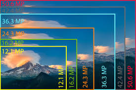 Sony A7r Ii Review Image Sensor Page 3 Of 9