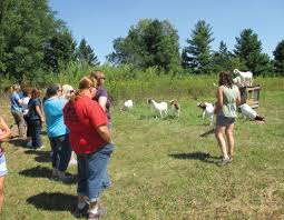 District 9 Women S Summit Women From Across Northwest Wisconsin Came Together In August To Learn About Different Facets Of Wisc Group Travel State Farm Amery