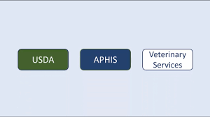 Usda Aphis Ppq Organizational Chart Usda Aphis Vs In