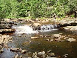 Hit your f11 key for the full effect. Forks Of Red Creek Hike