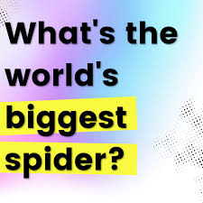 This post was created by a member of the buzzfeed commun. 100 Fun Trivia Quiz Questions With Answers Hobbylark