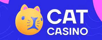 Огромный выбор игровых автоматов доступен на лицензионном сайте CatCasino