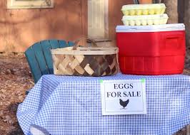 Culina 8 double mesh strainer, stainless steel poaching multiple eggs: How To Sell Chicken Eggs Hgtv