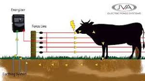 An electric fence energizer converts mains or battery power into a high voltage pulse. How Does An Electric Fence Work Youtube